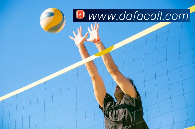 App Interface Preview